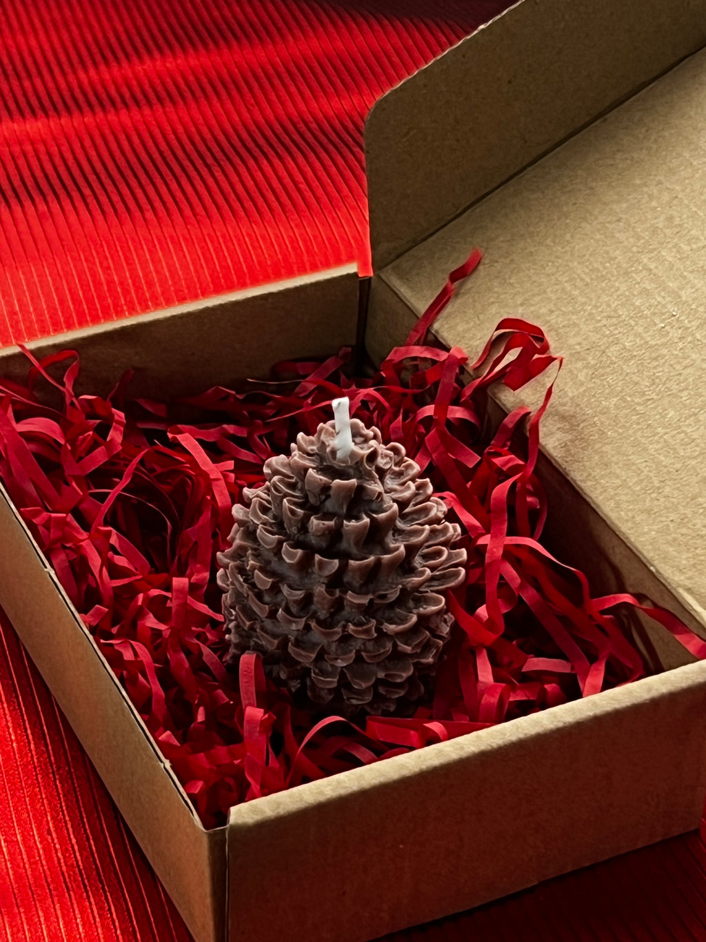 ESPECIAL NAVIDAD | PIÑA